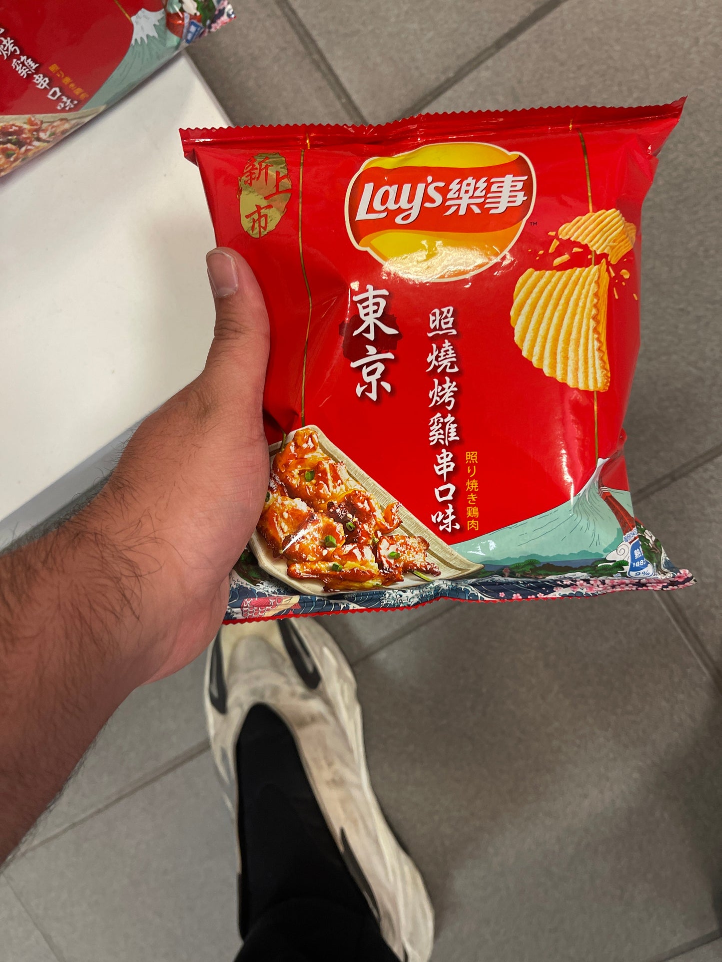 LAY'S TOKYO YAKATORI SMALL (JAPAN)