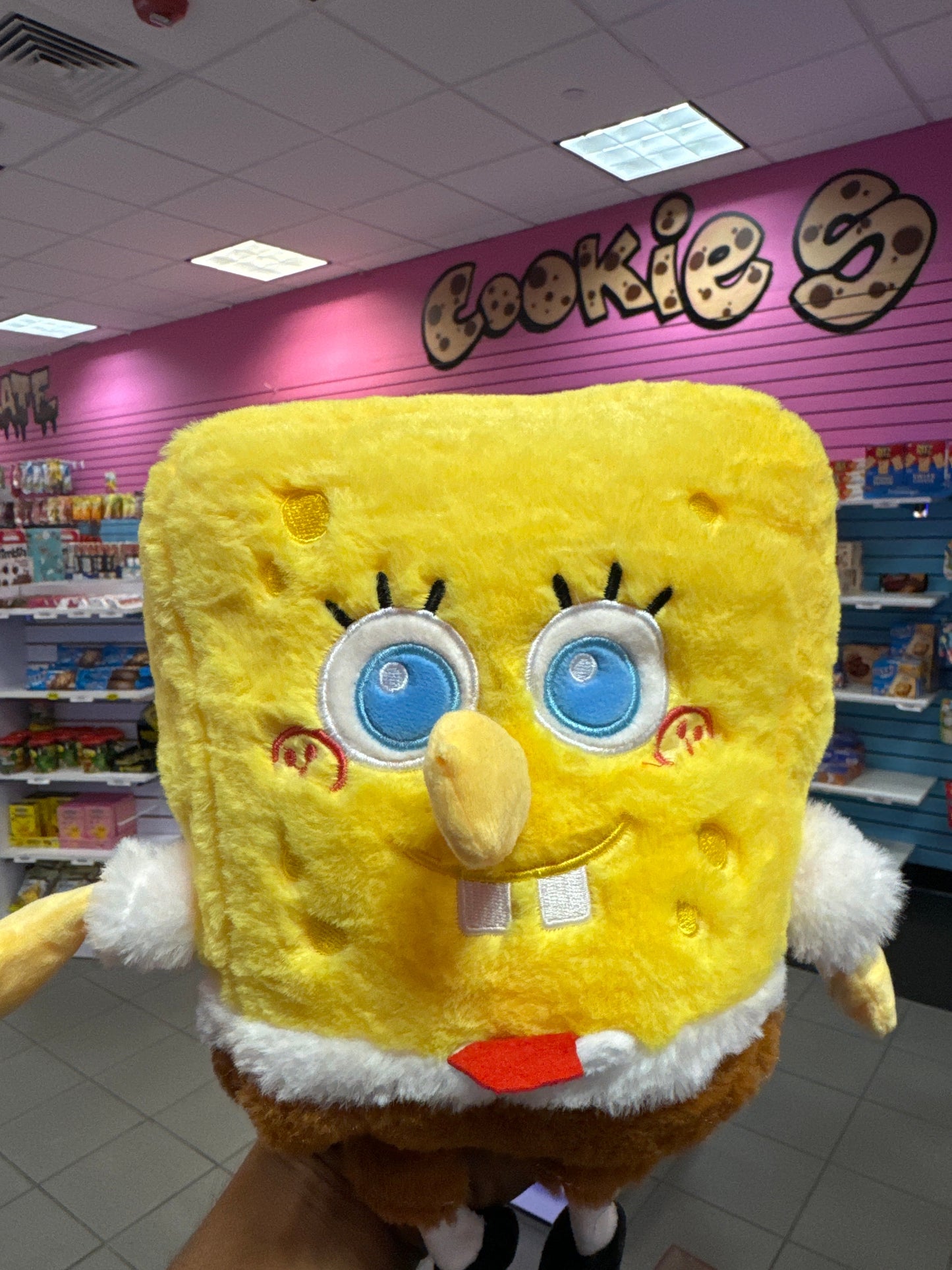 PLUSHY (USA)