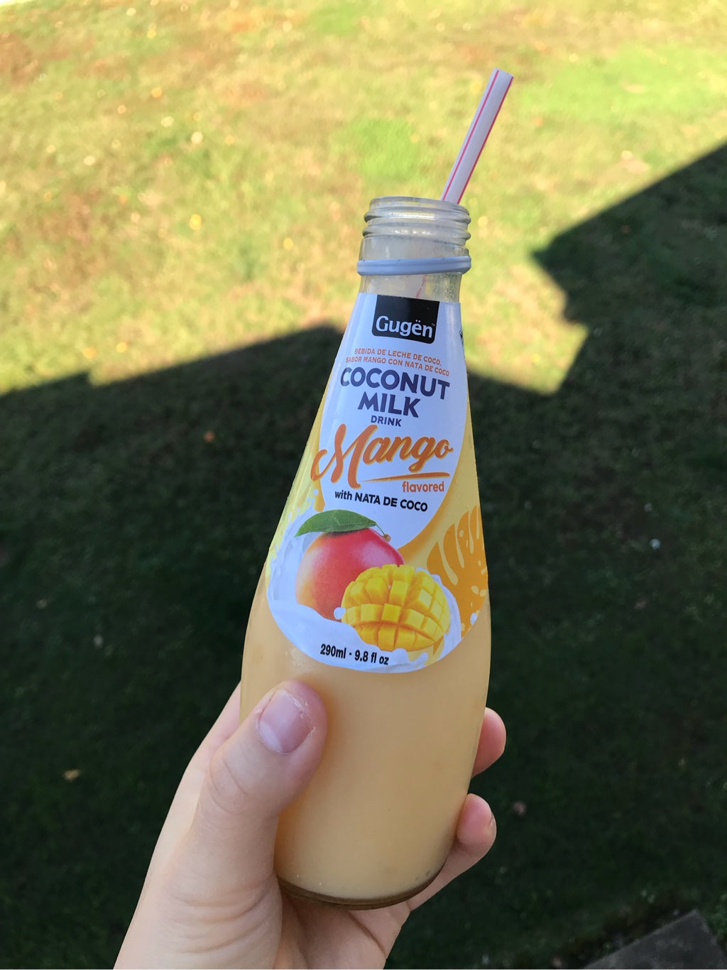GUGEN COCONUT MILK NATA DE COCO MANGO FLAVOR (KOREA)