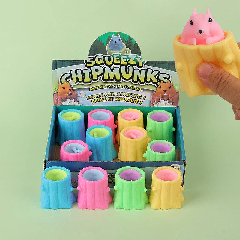 Cheese POP-UP Squishy Stress Relief Squeeze Fidget Vent Toy