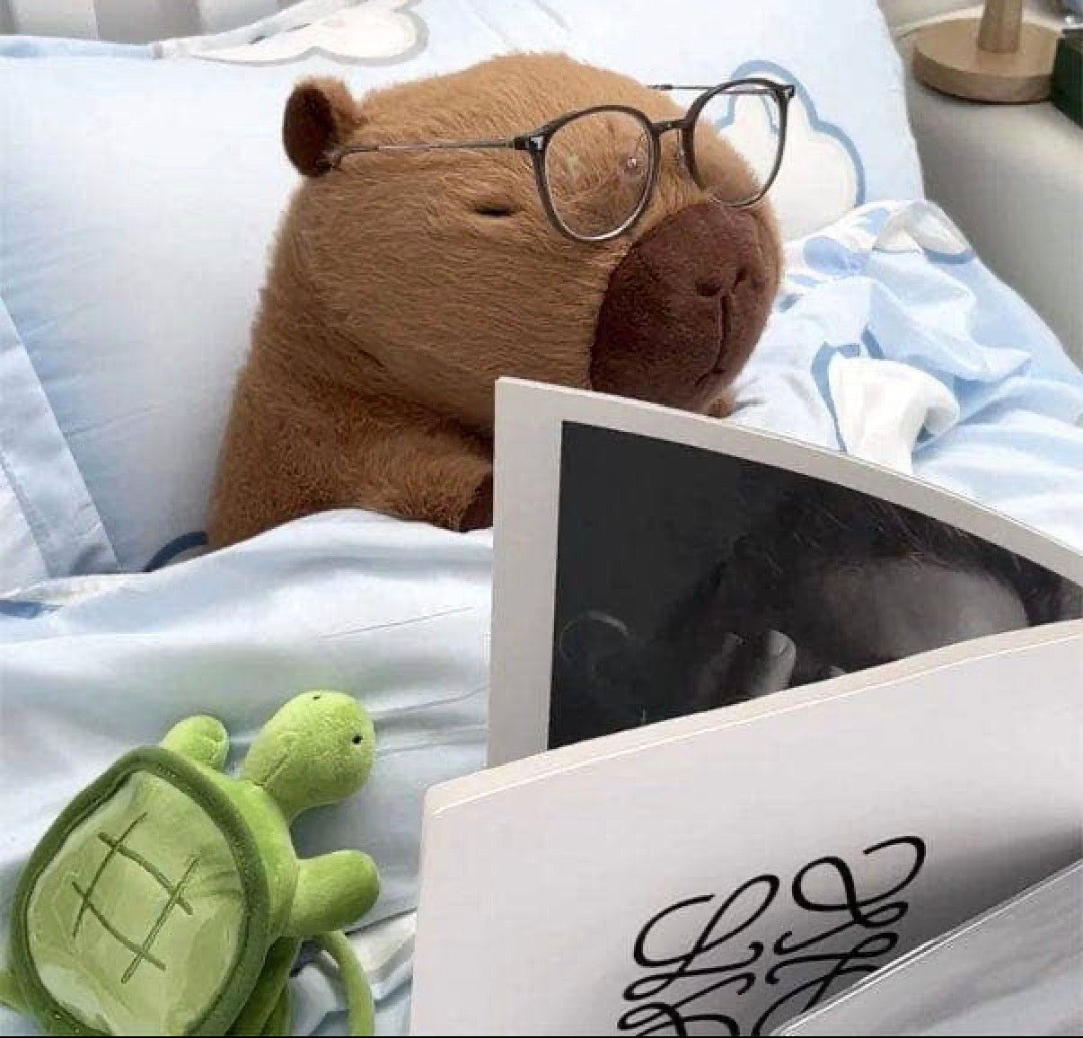 Capybara plush