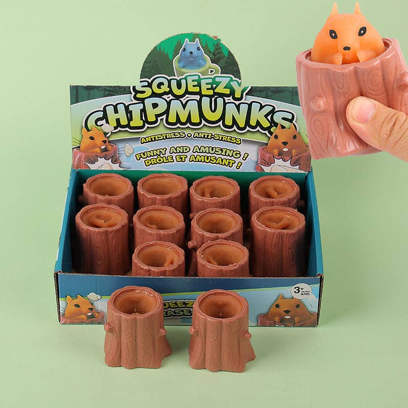 Cheese POP-UP Squishy Stress Relief Squeeze Fidget Vent Toy