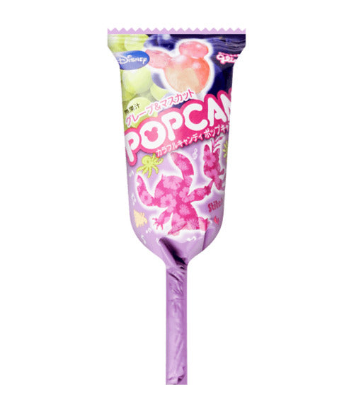 DISNEY FRUIT LOLLIPOP JAPANESE CANDY (JAPAN)